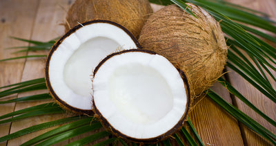 Fractionated Coconut Oil